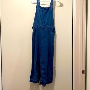 Universal Thread Denim Overalls
